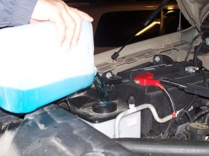 Car Fluids