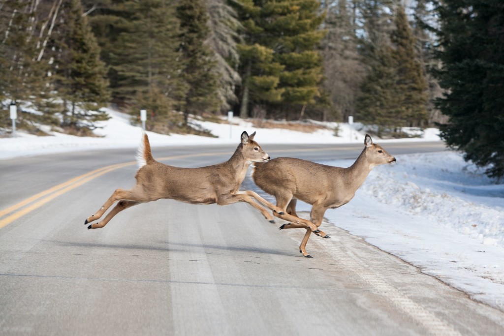 Minnesota Roads